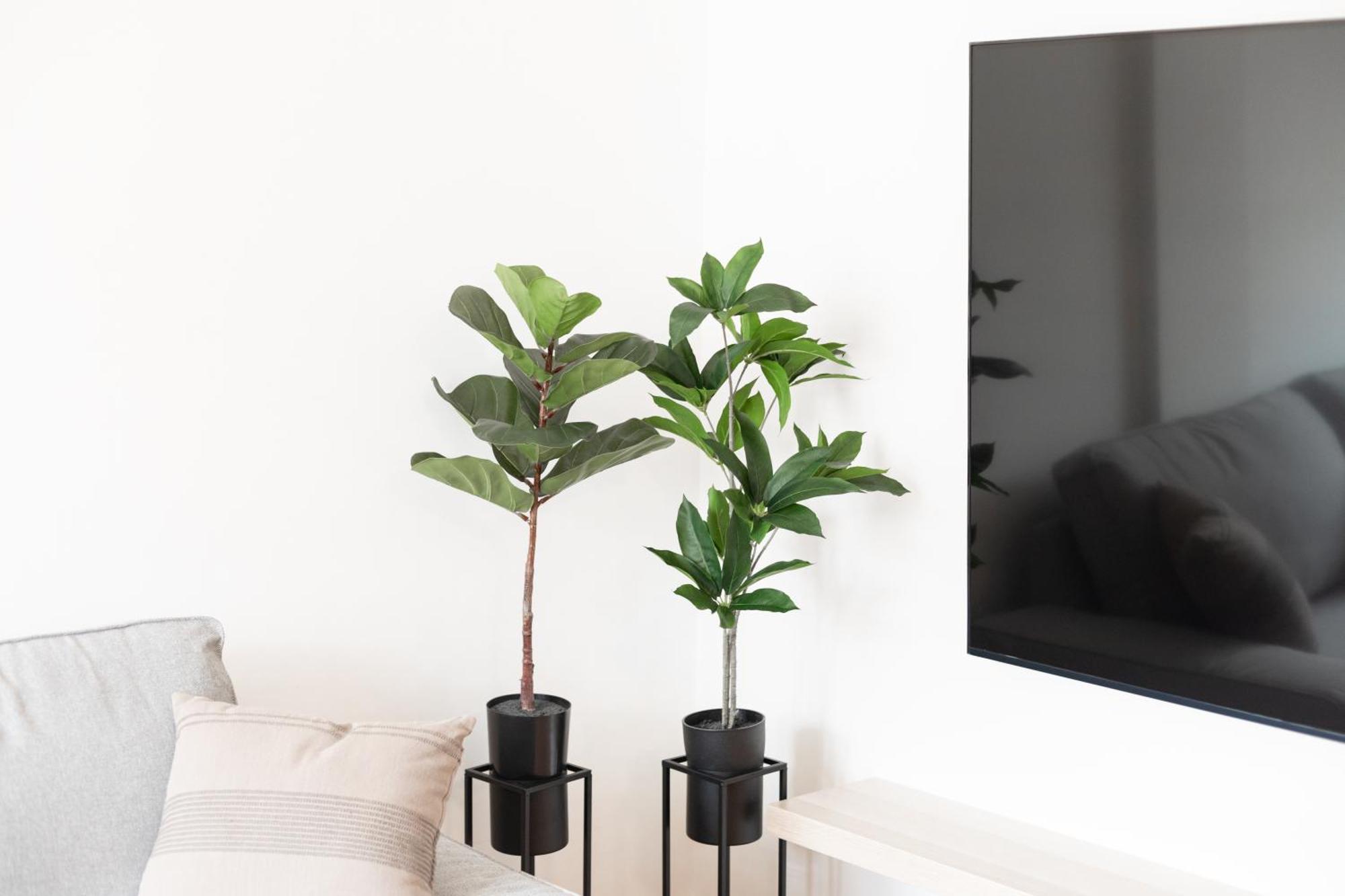 לאס פאלמס דה גראן קנאריה Las Vistas Residencial L Parking Privado מראה חיצוני תמונה